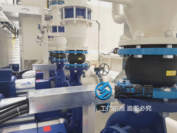 德國(guó)凱士比KSB水泵 橡膠接頭 德國(guó)凱士比KSB水泵 橡膠接頭